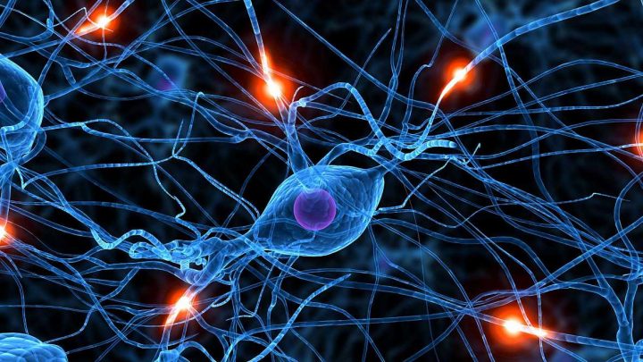 شبکه های عصبی چیستند؟ چه کاربردی دارند؟